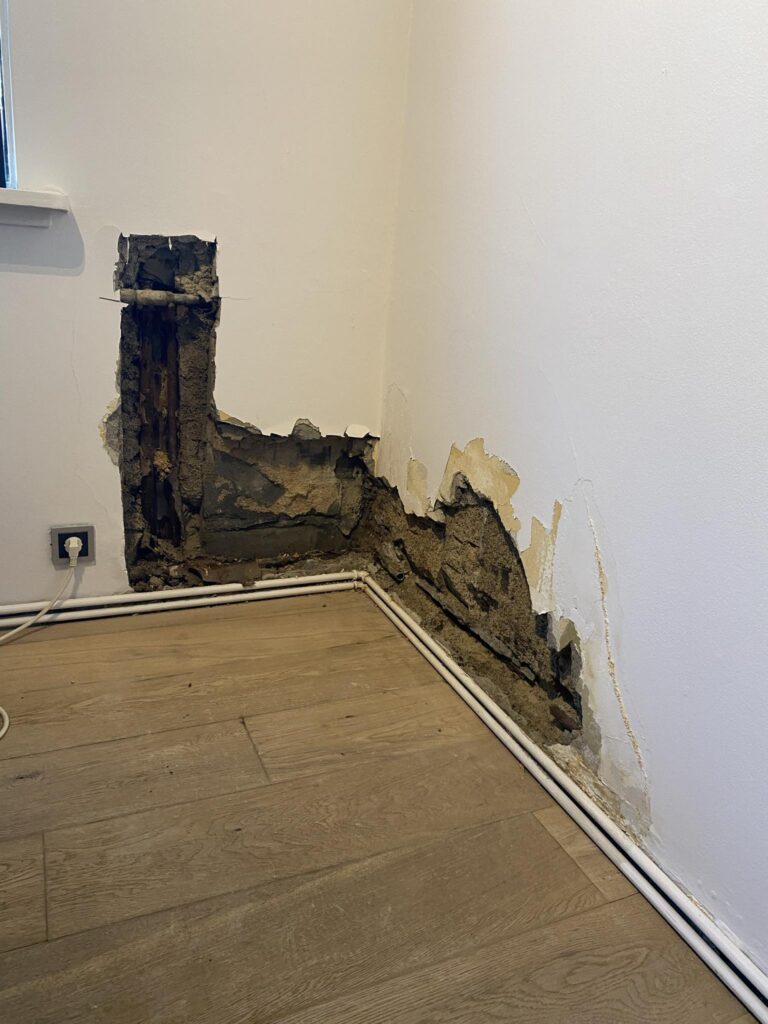 Messenger_creation_119d5acd-5af9-468d-9c57-fef73ca03a41